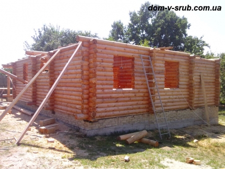 Срубы в процессе строительства_116