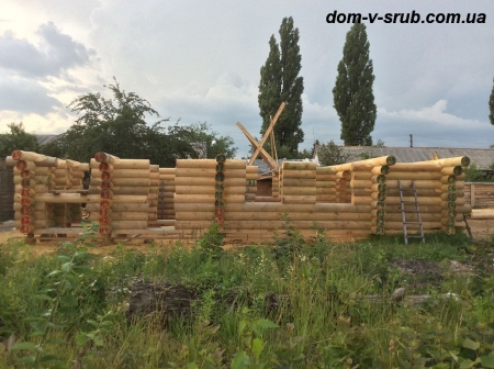 Срубы в процессе строительства_42